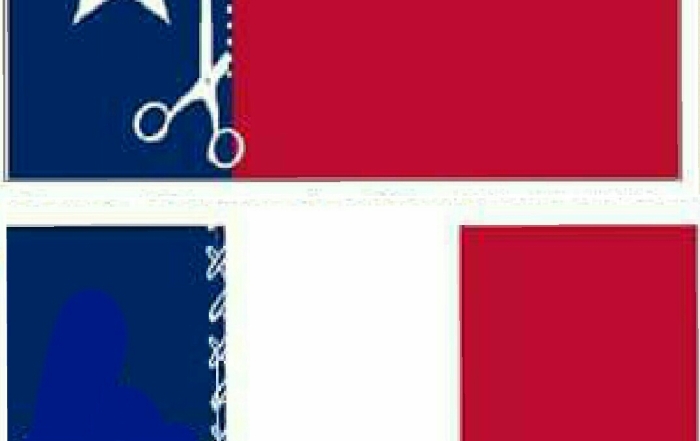 Jeanine Gaston - Texas Supports France